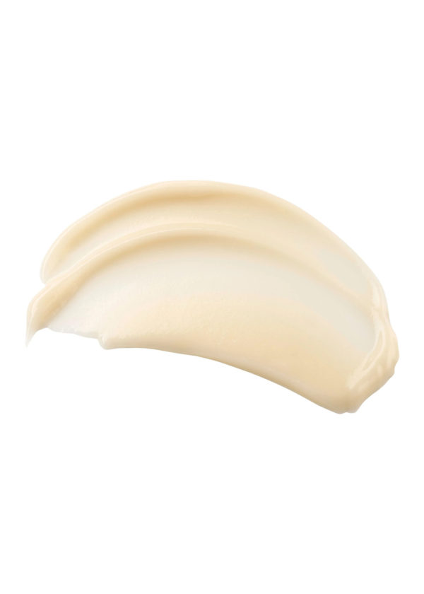 TIZO® AM Rejuvenation - Image 2